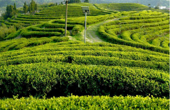 1688714113532987.png 图片8.png