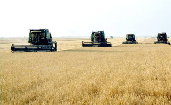 1688714143232139.png 图片9.png