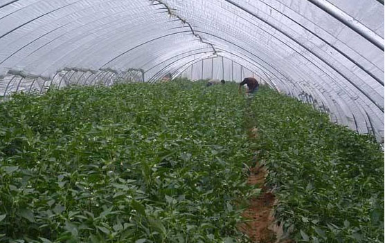 1688714303208337.png 图片10.png